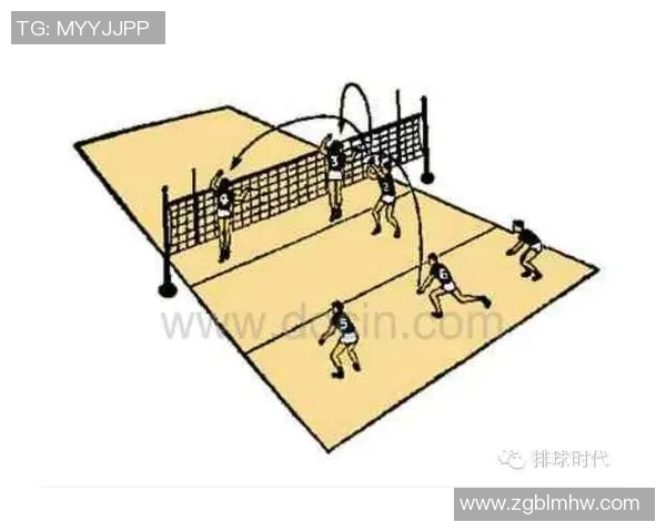 上海与深圳排球队对决后的战术分析与节奏探讨 上海与深圳排球队对决后的战术分析与节奏探讨