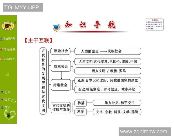 上海乒乓球队的精神风貌与发展历程深度解析