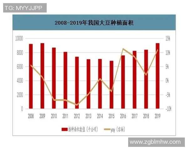 重庆羽毛球队在钻石联赛中的节奏表现分析与未来展望