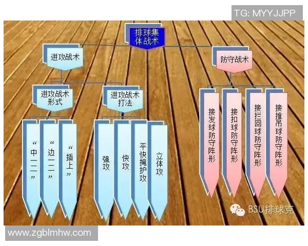 上海排球队中路突破战术解析与实战应用探讨 上海排球队中路突破战术解析与实战应用探讨