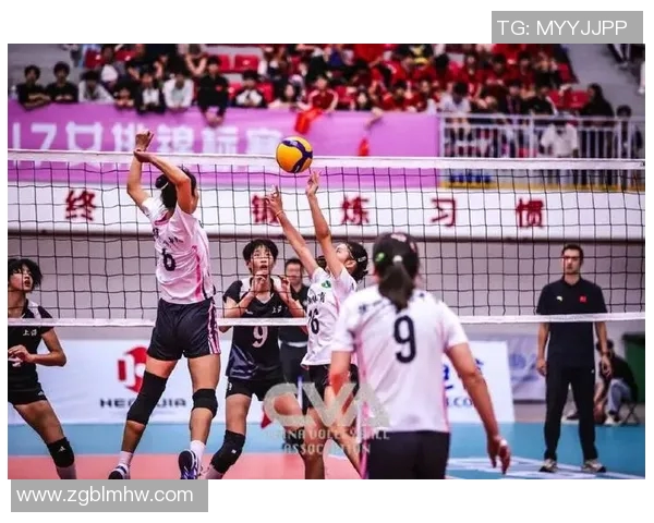 上海排球队在全国排球耐力排行榜中荣获第六名的佳绩引发关注