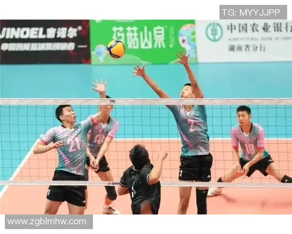 上海排球队在全国排球配合排行榜中荣获第八名的佳绩分析 上海排球队在全国排球配合排行榜中荣获第八名的佳绩分析