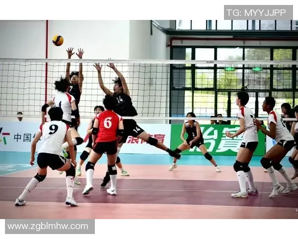 上海排球队在精英赛中的战术运用与表现分析