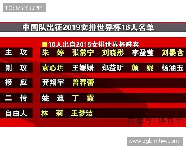 上海排球队在杯赛中的实力展现与未来发展潜力分析