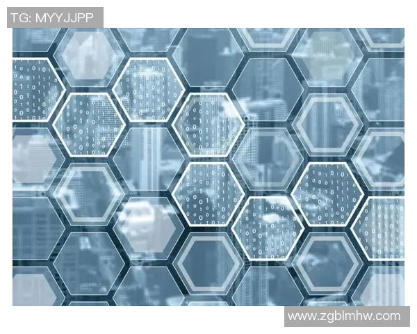 上海排球队在排球耐力排行榜中荣获第三名展现强大实力与潜力