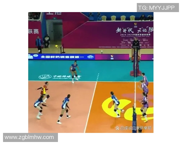 上海排球队实力之争引发热议球迷观点各异引发关注 上海排球队实力之争引发热议球迷观点各异引发关注