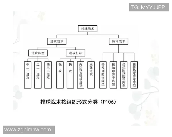 上海排球队技术探讨:提升战术与技能的全方位分析与展望 上海排球队技术探讨:提升战术与技能的全方位分析与展望