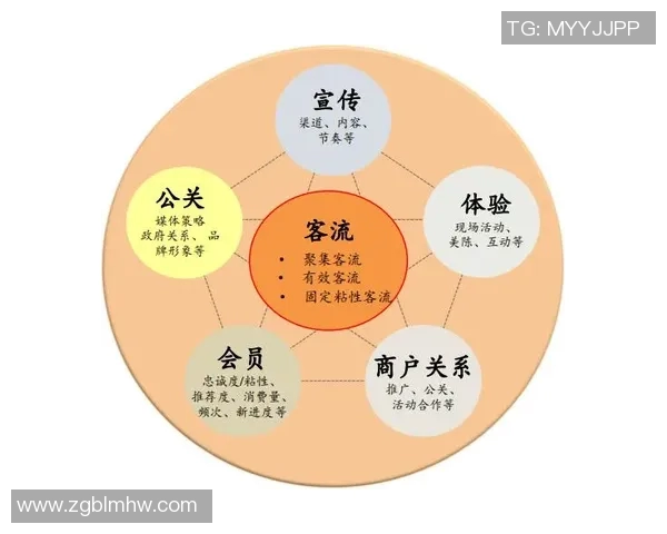 上海排球队的战术运营体系解析与实践探索