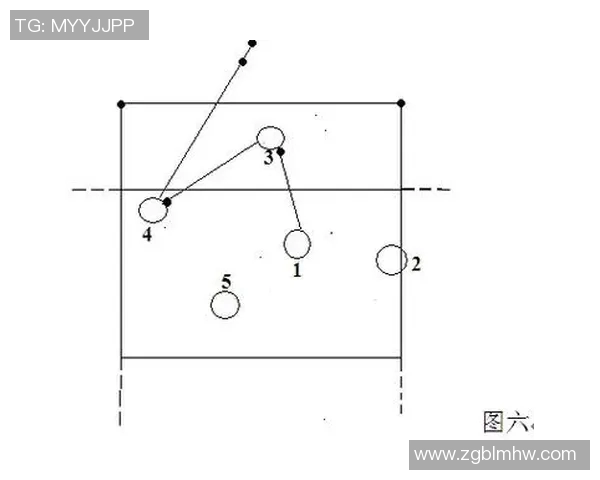 上海排球队战术表现深度分析与数据解读探讨 上海排球队战术表现深度分析与数据解读探讨