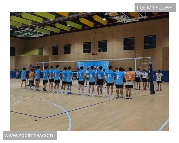 上海排球队技术创新再攀高峰引领排球新潮流