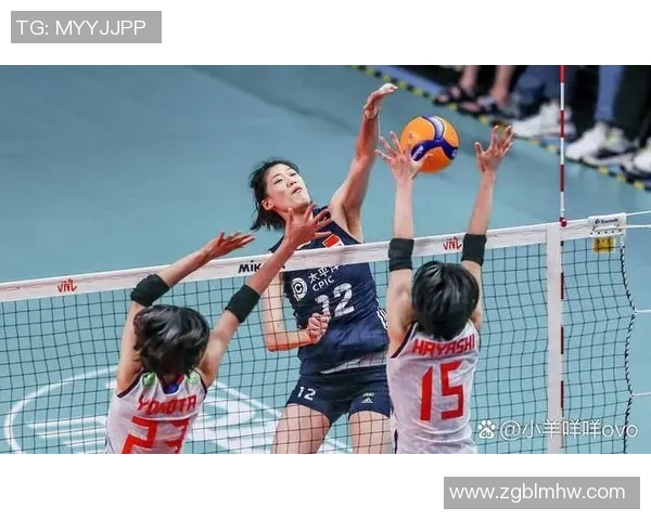 上海排球队整体压制战术解析与深度剖析排球竞技的成功秘诀