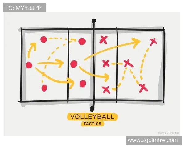 上海排球队的战术控制与队伍发展深度剖析 上海排球队的战术控制与队伍发展深度剖析