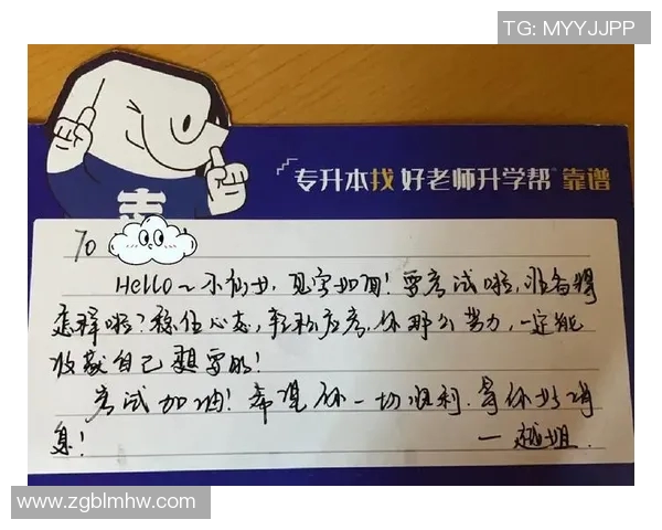 上海排球队逆袭之路揭秘世界锦标赛背后的奋斗与荣耀