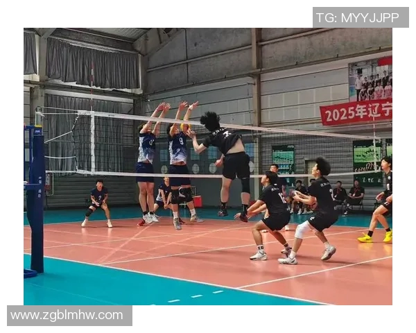 上海排球队的蜕变之旅：从传统强队到现代竞技先锋的奥运追梦之路