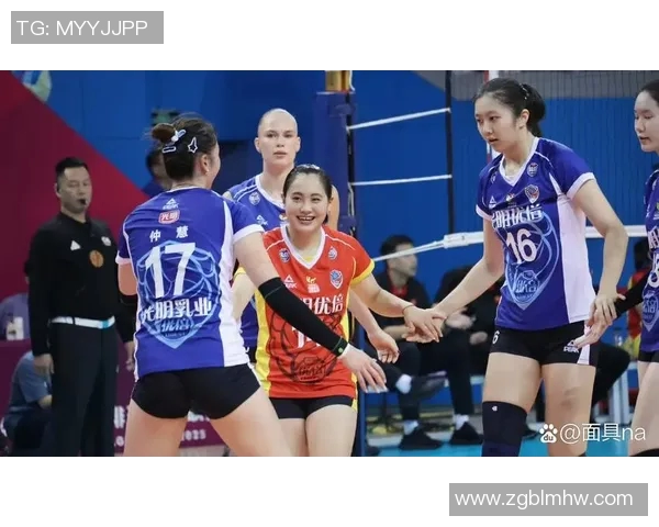 上海排球队的节奏解析与深度剖析排球运动的魅力与挑战