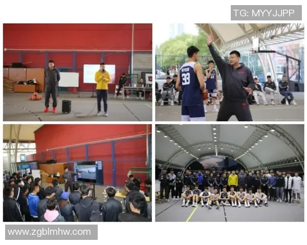 上海排球队配合策略分析与战术提升探讨 上海排球队配合策略分析与战术提升探讨