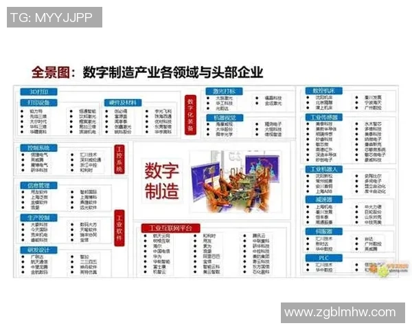 上海排球队的转型之路与未来发展趋势分析