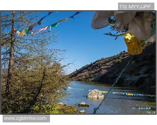 上海篮球队心理素质分析及其在联赛中的表现评估