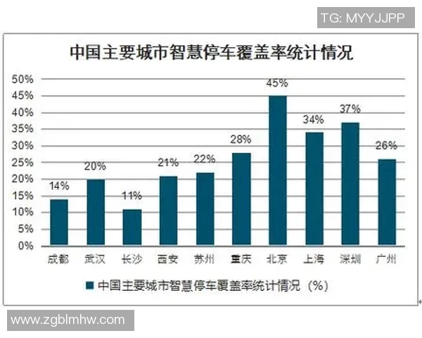 上海网球队加速转型探讨与未来发展趋势分析 上海网球队加速转型探讨与未来发展趋势分析