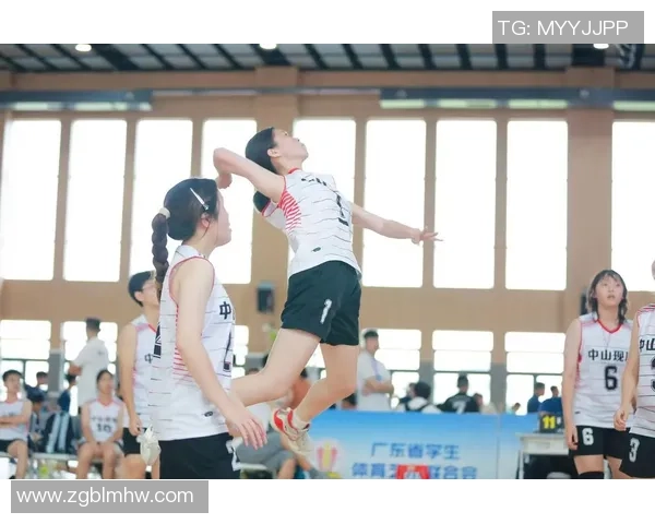 杭州排球队勇夺最新排球耐力排行榜第一名引发热议