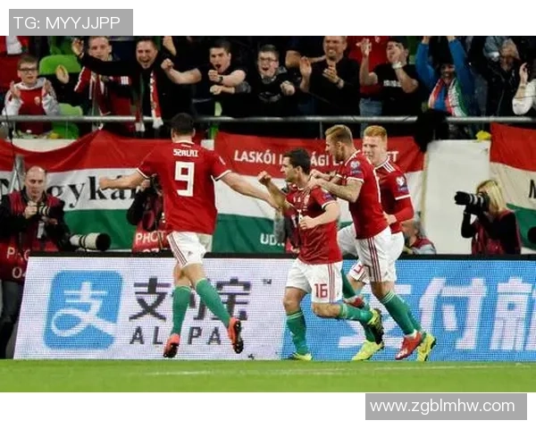 武汉足球队在欧锦赛中的团队协作表现分析与点评